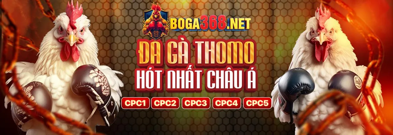 Khuyến Mãi Đá Gà sumvip5 app